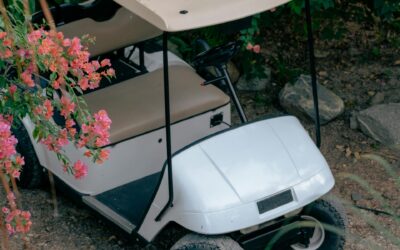 The Importance of Wheel Bearings for Golf Carts